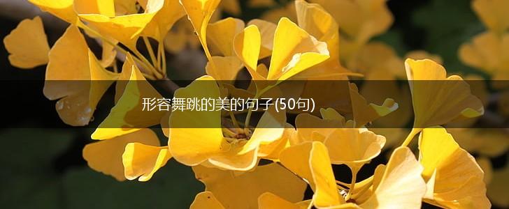 形容舞跳的美的句子(50句),第1张