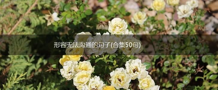 形容无法沟通的句子(合集50句),第1张
