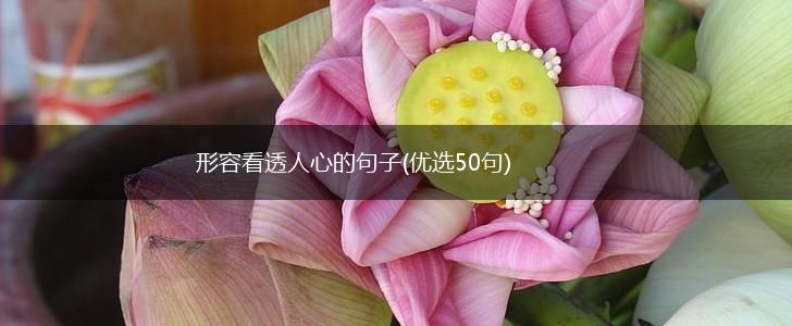 形容看透人心的句子(优选50句),第1张