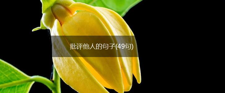 批评他人的句子(49句),第1张