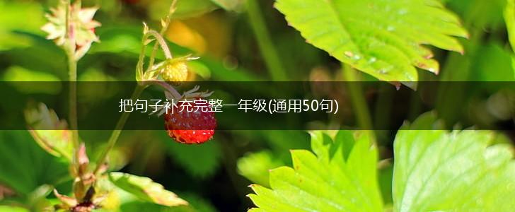把句子补充完整一年级(通用50句),第1张