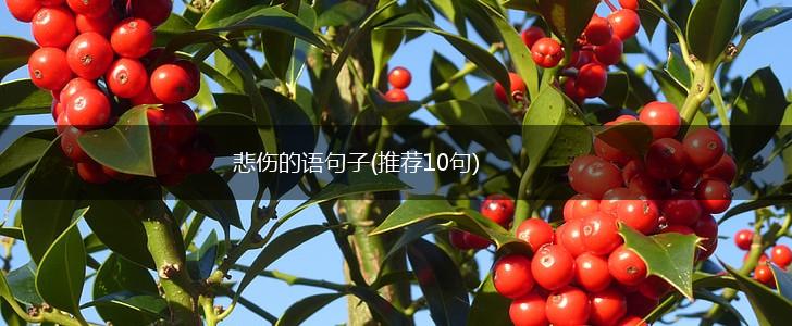 悲伤的语句子(推荐10句),第1张