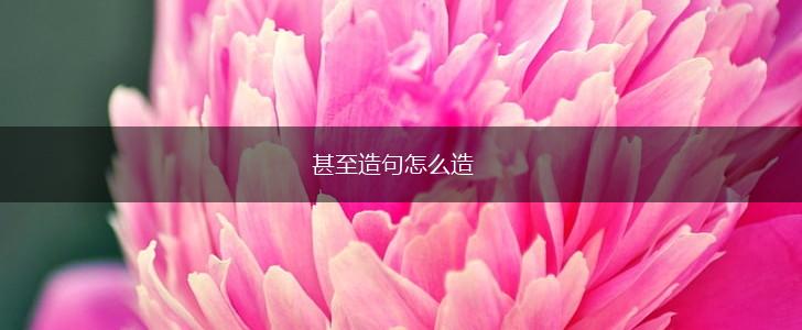 甚至造句怎么造,第1张 甚至造句怎么造,第1张