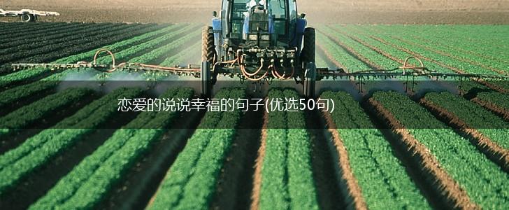 恋爱的说说幸福的句子(优选50句),第1张
