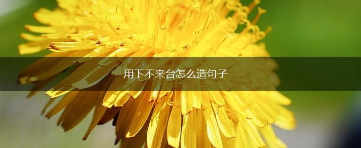 用下不来台怎么造句子,第1张 用下不来台怎么造句子,第1张