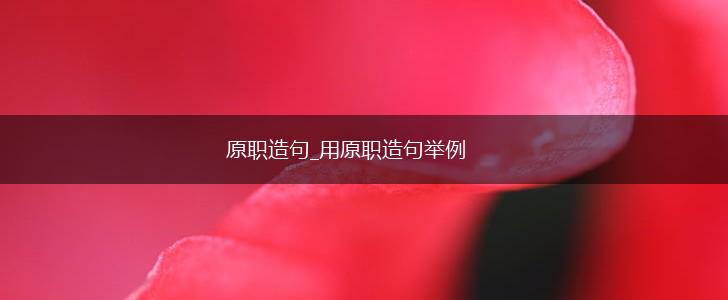 原职造句_用原职造句举例,第1张 原职造句_用原职造句举例,第1张