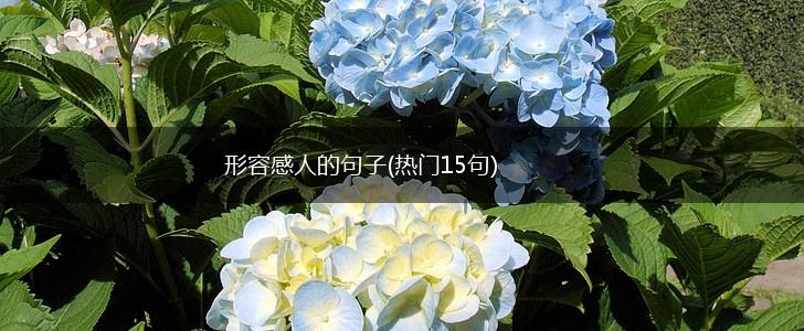 形容感人的句子(热门15句),第1张