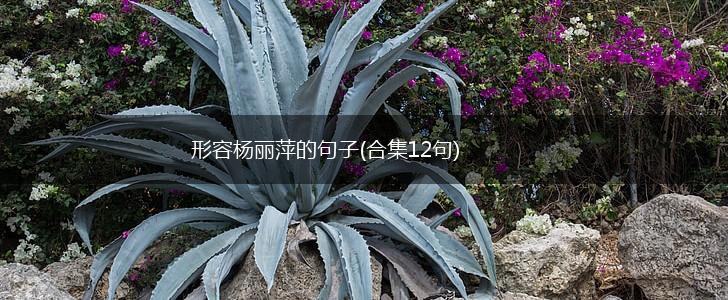 形容杨丽萍的句子(合集12句),第1张