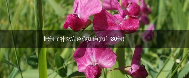 把句子补充完整你知道(热门80句),第1张