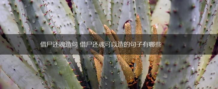借尸还魂造句 借尸还魂可以造的句子有哪些,第1张 借尸还魂造句 借尸还魂可以造的句子有哪些,第1张