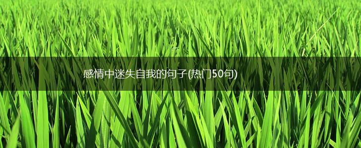 感情中迷失自我的句子(热门50句),第1张