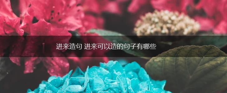 进来造句 进来可以造的句子有哪些,第1张 进来造句 进来可以造的句子有哪些,第1张