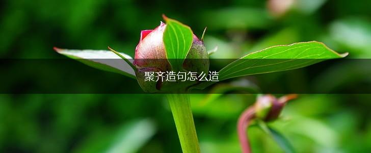 聚齐造句怎么造,第1张 聚齐造句怎么造,第1张
