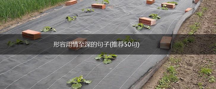 形容用情至深的句子(推荐50句),第1张