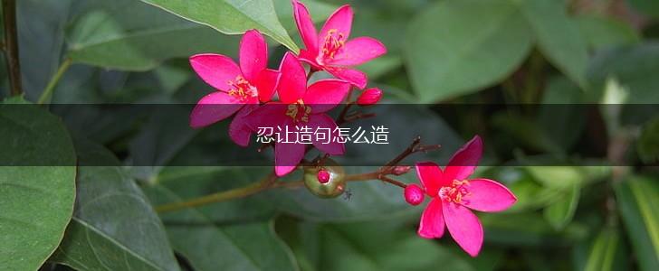 忍让造句怎么造,第1张