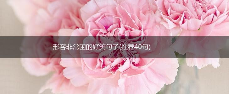 形容非常困的好笑句子(推荐40句),第1张