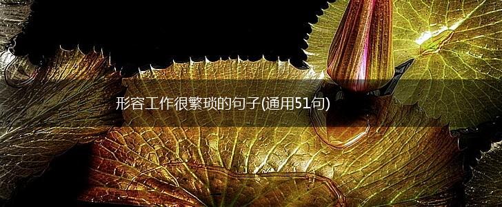 形容工作很繁琐的句子(通用51句),第1张
