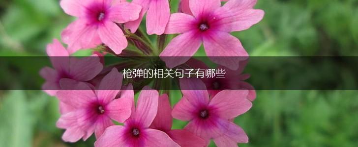 枪弹的相关句子有哪些,第1张 枪弹的相关句子有哪些,第1张