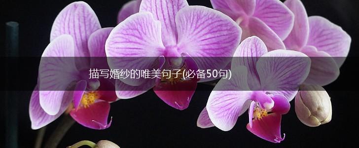描写婚纱的唯美句子(必备50句),第1张