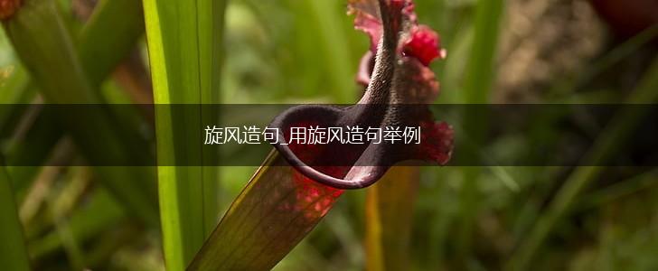 旋风造句_用旋风造句举例,第1张 旋风造句_用旋风造句举例,第1张