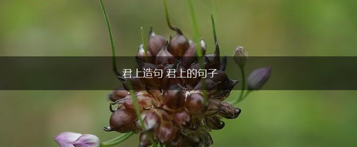 君上造句 君上的句子,第1张 君上造句 君上的句子,第1张