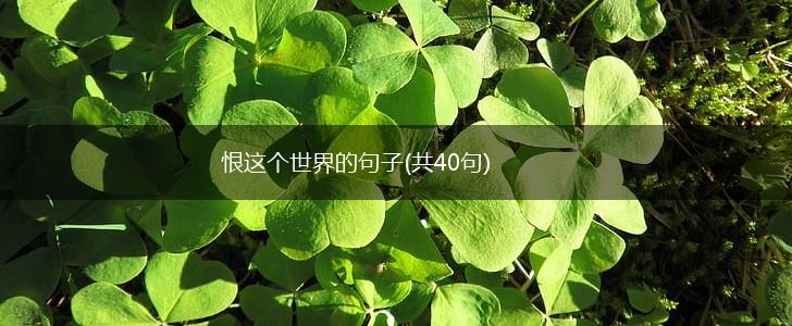恨这个世界的句子(共40句),第1张