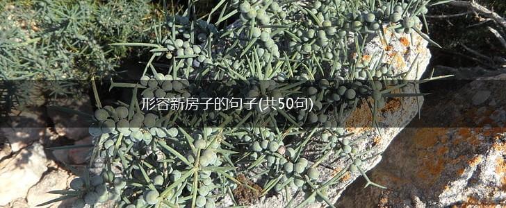 形容新房子的句子(共50句),第1张