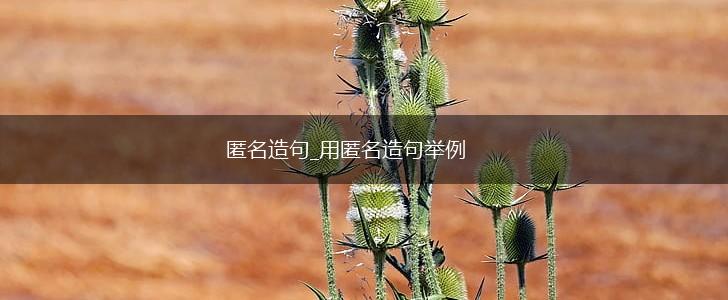 匿名造句_用匿名造句举例,第1张 匿名造句_用匿名造句举例,第1张