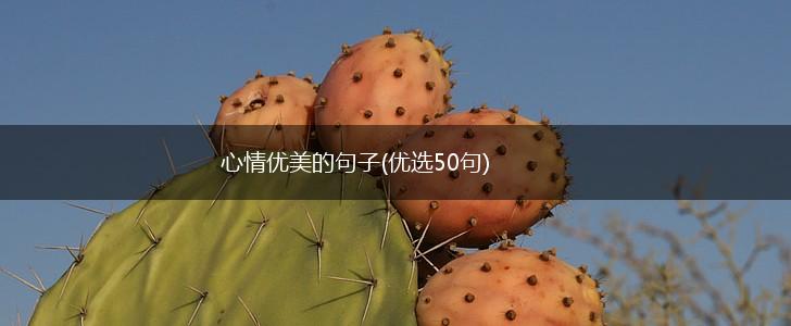 心情优美的句子(优选50句),第1张