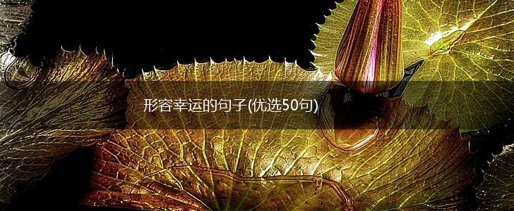 形容幸运的句子(优选50句),第1张