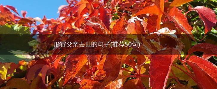形容父亲去世的句子(推荐50句),第1张