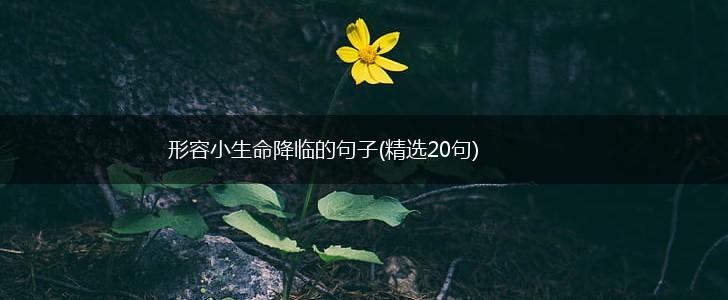 形容小生命降临的句子(精选20句),第1张