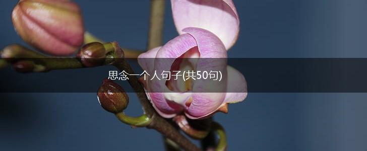 思念一个人句子(共50句),第1张