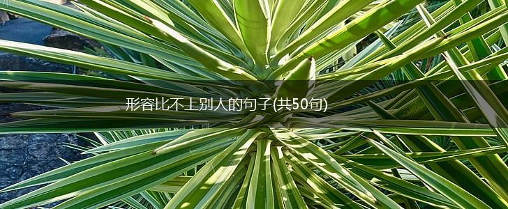 形容比不上别人的句子(共50句),第1张