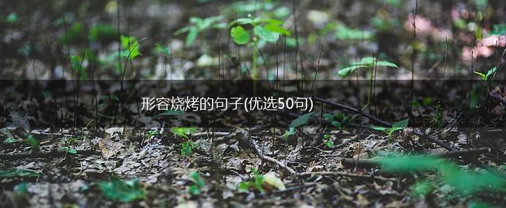 形容烧烤的句子(优选50句),第1张