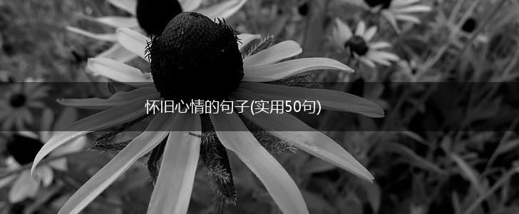 怀旧心情的句子(实用50句),第1张