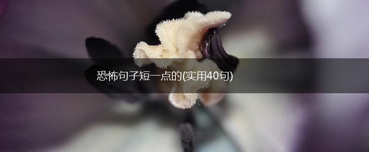 恐怖句子短一点的(实用40句),第1张