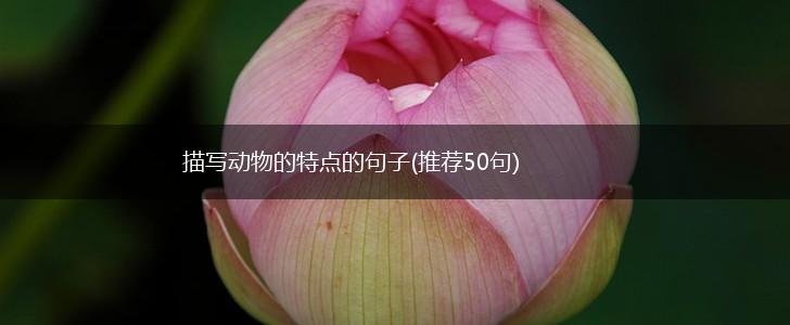 描写动物的特点的句子(推荐50句),第1张