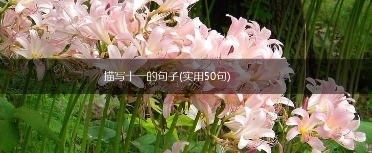 描写十一的句子(实用50句),第1张