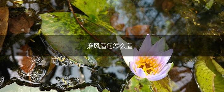 麻风造句怎么造,第1张 麻风造句怎么造,第1张
