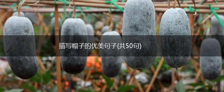 描写帽子的优美句子(共50句),第1张