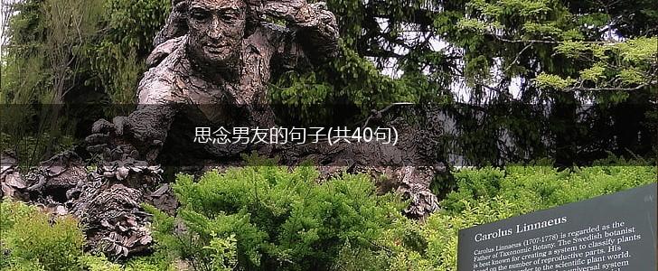 思念男友的句子(共40句),第1张