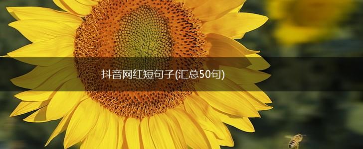 抖音网红短句子(汇总50句),第1张