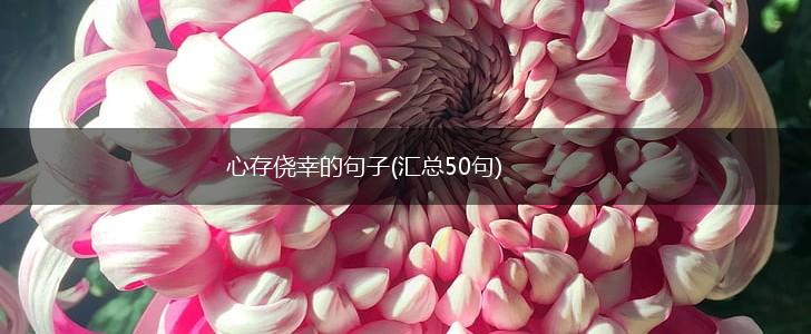 心存侥幸的句子(汇总50句),第1张