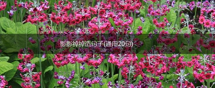 影影绰绰造句子(通用20句),第1张