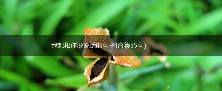 我想和你说说话的句子(合集55句),第1张