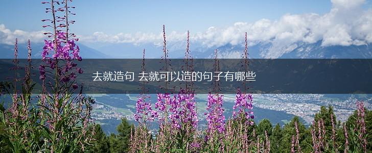 去就造句 去就可以造的句子有哪些,第1张 去就造句 去就可以造的句子有哪些,第1张