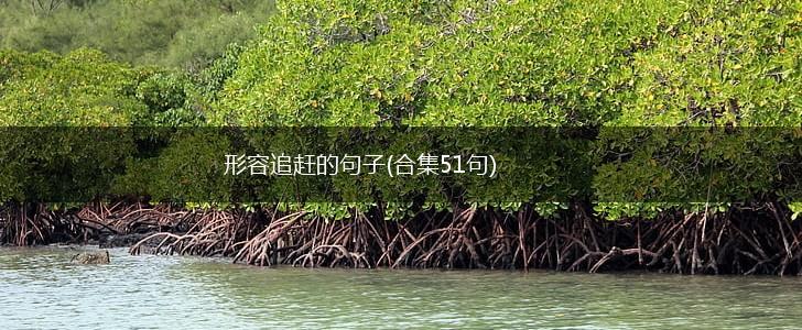 形容追赶的句子(合集51句),第1张