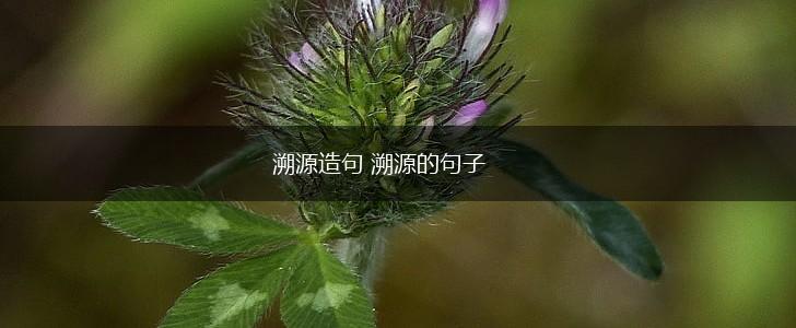 溯源造句 溯源的句子,第1张 溯源造句 溯源的句子,第1张