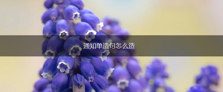 通知单造句怎么造,第1张 通知单造句怎么造,第1张